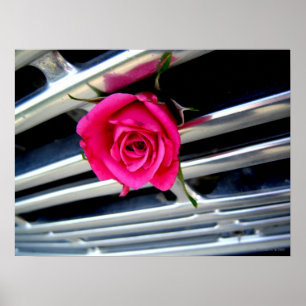 Pink Rose on Grill Poster