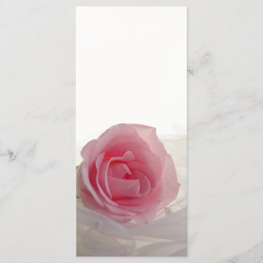 Pink Rose on White Wedding Programm (Vorderseite)
