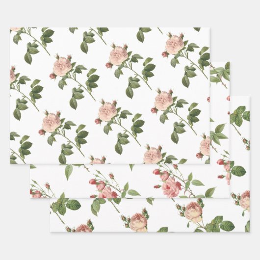 Pink Rose Pattern Geschenkpapier Set (Set)