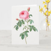 Pink Rose Pierre-Joseph Redoute Grußkarte Karte (Gelbe Blume)