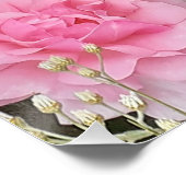 Pink Rose Roses Flower Floral Garden Radox Bouquet Poster (Ecke)