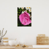 Pink Rose Roses Flower Garden L'Ouche Cabbage Poster (Küche)