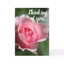 Pink Rose Thinking of You Card
