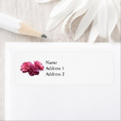 Pink Rose Trio (Insitu)