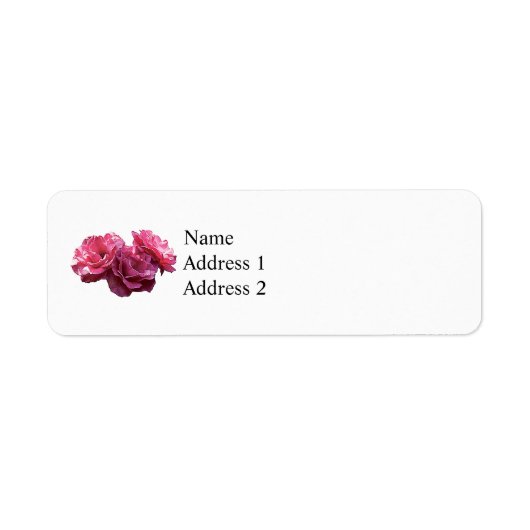Pink Rose Trio (Vorne)
