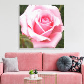 Pink Rose überwölbte Leinwand Print (Insitu (Wohnzimmer))