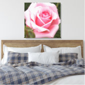 Pink Rose überwölbte Leinwand Print (Insitu (Schlafzimmer))
