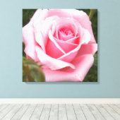 Pink Rose überwölbte Leinwand Print (Insitu (Holzboden))