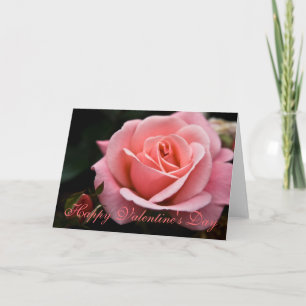 Pink Rose • Valentine's Day Greeting Card Feiertagskarte