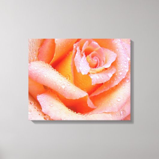 Pink Rose Wrapped Canvas Leinwanddruck (Vorderseite)