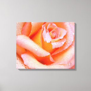 Pink Rose Wrapped Canvas Leinwanddruck