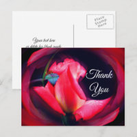 Pink Rosenknospe Abstrakt Floral Danke Postcard