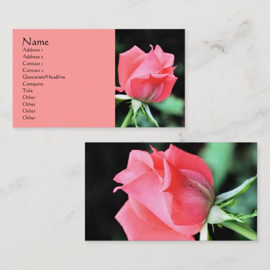 Pink Rosenknospe Flower Fotografy Business Card Visitenkarte (Vorne/Hinten)