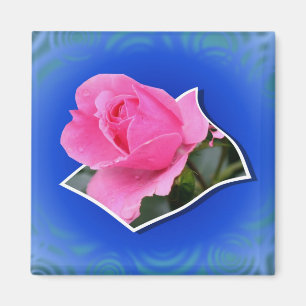 Pink Rosenknospe Pop Out Floral Magnet