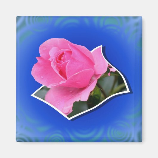 Pink Rosenknospe Pop Out Floral Magnet (Vorne)