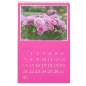 Pink Roses Calendar (Type-B) Kalender (Feb 2027)