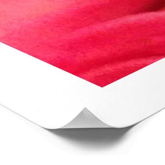 Pink Roses Foto Poster (Ecke)