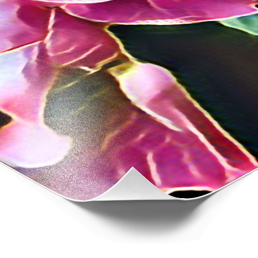 PINK ROSES FOTODRUCK (Ecke)