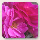 Pink Roses Getränkeuntersetzer (Vorderseite)