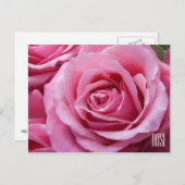 Pink Roses Horizontale Postkarte (Vorne/Hinten)