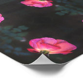Pink Roses Pattern Poster (Ecke)