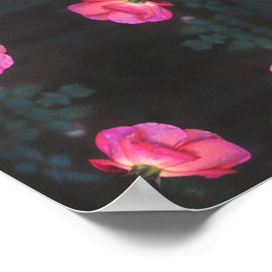 Pink Roses Pattern Poster (Ecke)
