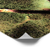 Pink Roses Poster - Digitales Foto Kunst, Dichtung (Ecke)