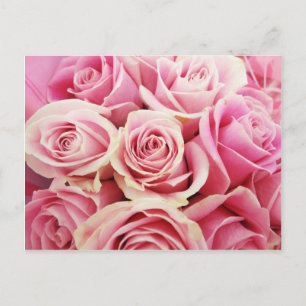 Pink Roses Rose Bouquet Rosey Pink Blume Bush Postkarte