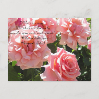 Pink Roses Shakespeare Zitat Postkarte