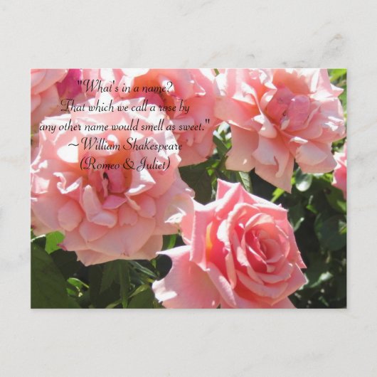 Pink Roses Shakespeare Zitat Postkarte (Vorderseite)