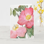 Pink Rote Rose Pierre-Joseph Redoute Grußkarte Karte (Gelbe Blume)