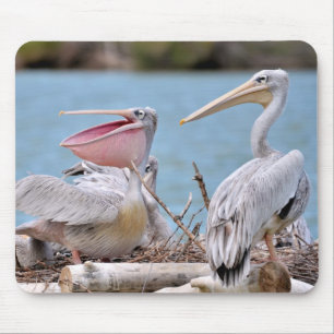 Pink-Rücken-Pelikane Mousepad