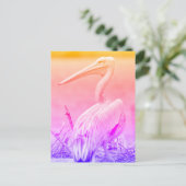 Pink-Rücken-Pelikane Postkarte (Stehend Vorderseite)