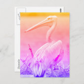 Pink-Rücken-Pelikane Postkarte (Vorne/Hinten)