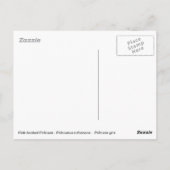 Pink-Rücken-Pelikane Postkarte (Rückseite)