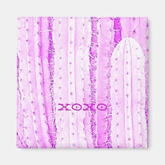 Pink Saguaro Cactus Foto Kunstfreund Magnet (Vorne)