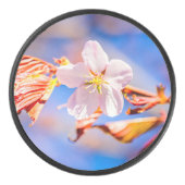 Pink Sakura Blume Blue Sky Eishockey Puck (Vorderseite)