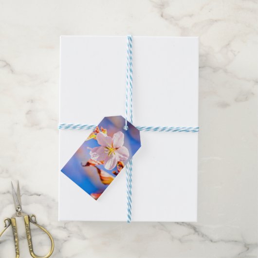 Pink Sakura Blume Blue Sky Geschenkanhänger (Mit Garn)