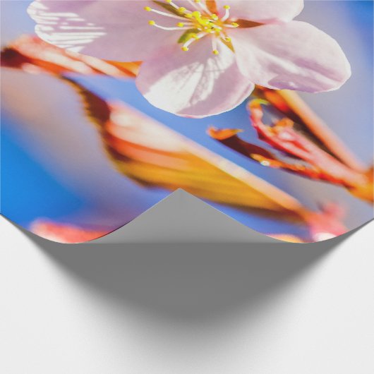 Pink Sakura Blume Blue Sky Geschenkpapier (Ecke)