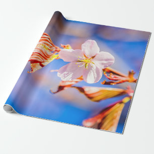 Pink Sakura Blume Blue Sky Geschenkpapier