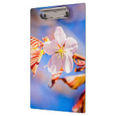 Pink Sakura Blume Blue Sky Klemmbrett (Links)