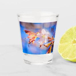 Pink Sakura Blume Blue Sky Schnapsglas