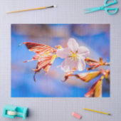 Pink Sakura Blume Blue Sky Seidenpapier (Basteln)