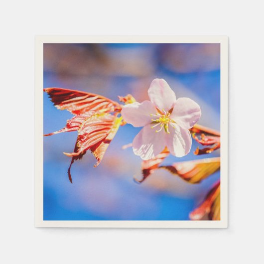 Pink Sakura Blume Blue Sky Serviette (Vorderseite)