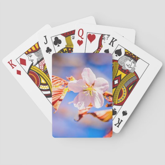 Pink Sakura Blume Blue Sky Spielkarten (Rückseite)