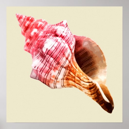 Pink Sandy Conch Muschel Poster (Vorne)