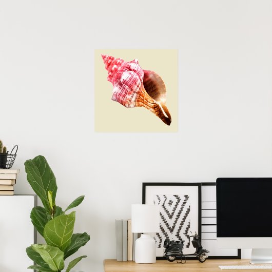 Pink Sandy Conch Muschel Poster (Heimbüro)