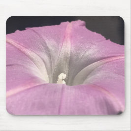 Pink Satin Morning Glory Close-up Mousepad