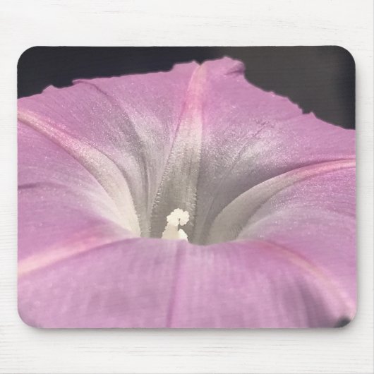 Pink Satin Morning Glory Close-up Mousepad (Vorne)
