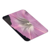Pink Satin Morning Glory Magnet (Rechte Seite)